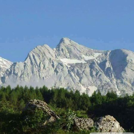 Villa Giuseppe Roseto Degli Abruzzi Esterno foto